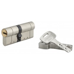 Κύλινδρος υπερασφαλείας FEDERAL S - 30 x 40 - 5 κλειδιά THIRARD THIRARD - 1