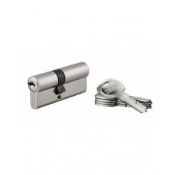 Κύλινδρος ασφαλείας TRAFIC 6 νίκελ - 30 x 40 - 5 κλειδιά THIRARD THIRARD - 1