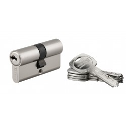 Κύλινδρος ασφαλείας TRAFIC 6 νίκελ - 30 x 30 - 5 κλειδιά THIRARD THIRARD - 1