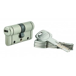 Κύλινδρος ασφαλείας TRAFIC 12 νίκελ - 30 x 30 - 5 κλειδιά THIRARD THIRARD - 1
