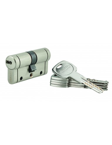 Κύλινδρος ασφαλείας TRAFIC 12 νίκελ - 30 x 30 - 5 κλειδιά THIRARD THIRARD - 1