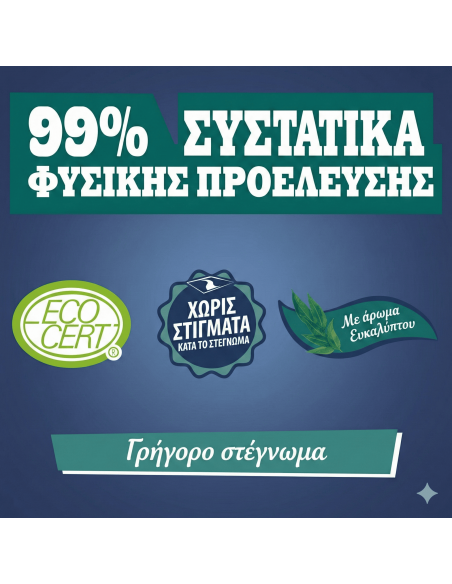 Απορρυπαντικό πλακιδίων δαπέδων & τοίχου συμπυκνωμένο 1L BRIOCHIN BRIOCHIN - 4