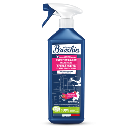 Ενεργός αφρός αφαλάτωσης σπρέι 750 ML BRIOCHIN BRIOCHIN - 1