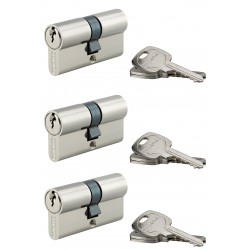 Σετ 3 κύλινδροι STD νίκελ -  30 x 30 - 9 κοινά κλειδιά THIRARD THIRARD - 1