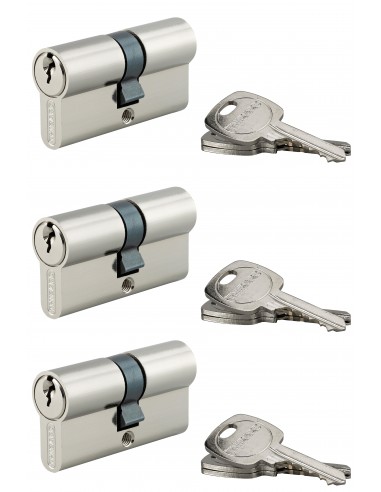 Σετ 3 κύλινδροι STD νίκελ -  30 x 30 - 9 κοινά κλειδιά THIRARD THIRARD - 1