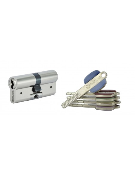 Κύλινδρος υπερασφαλείας VARIO DX - 31 x 31 - 5 κλειδιά THIRARD THIRARD - 1