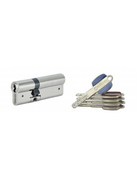 Κύλινδρος υπερασφαλείας VARIO DX - 31 x 51 - 5 κλειδιά THIRARD THIRARD - 1