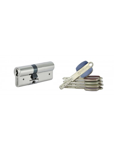 Κύλινδρος υπερασφαλείας VARIO DX - 31 x 41 - 5 κλειδιά THIRARD THIRARD - 1