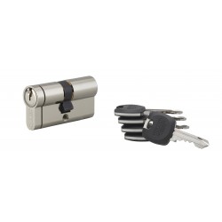 Κύλινδρος ασφαλείας HG5+ 30X30 νίκελ - 5 κλειδιά THIRARD THIRARD - 1