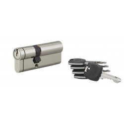 Κύλινδρος ασφαλείας HG5+ 45X30 SNAP νίκελ - 5 κλειδιά THIRARD THIRARD - 1