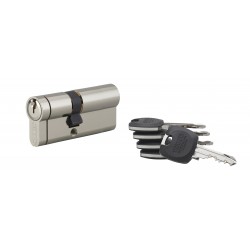 Κύλινδρος ασφαλείας ADRIATIC 2 30X30 νίκελ - 5 κλειδιά THIRARD THIRARD - 1