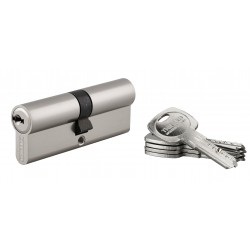 Κύλινδρος ασφαλείας TRAFIC 6 νίκελ - 40 x 40 - 5 κλειδιά THIRARD THIRARD - 1