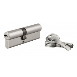 Κύλινδρος ασφαλείας TRAFIC 6 40x50 νίκελ - 5 κλειδιά THIRARD THIRARD - 1