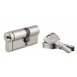 Κύλινδρος ασφαλείας TRANSIT 2 νίκελ - 30 x 40 - 4 κλειδιά THIRARD THIRARD - 1