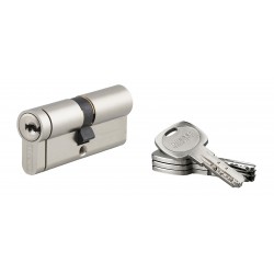 Κύλινδρος ασφαλείας TRANSIT 2 νίκελ - 35 x 35 - 4 κλειδιά THIRARD THIRARD - 1