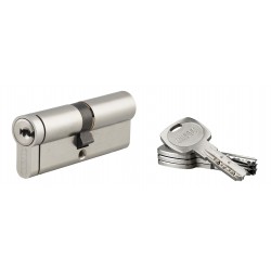 Κύλινδρος ασφαλείας TRANSIT 2 νίκελ - 40 x 40 - 4 κλειδιά THIRARD THIRARD - 1