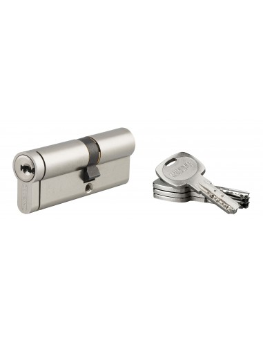 Κύλινδρος ασφαλείας TRANSIT 2 νίκελ - 35 x 45 - 4 κλειδιά THIRARD THIRARD - 1