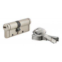 Κύλινδρος ασφαλείας TRAFIC 12 35x45 νίκελ - 5 κλειδιά THIRARD THIRARD - 1