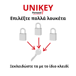 Λουκέτο TYPE1 νίκελ 50 χιλ. 2 κλειδιά KEY ALIKE THIRARD THIRARD - 1 2