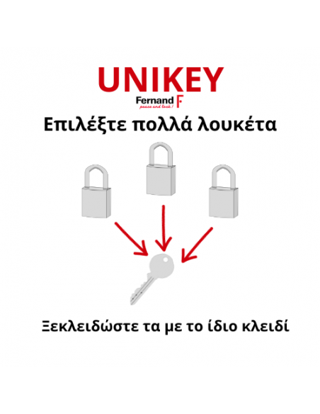 Λουκέτο TYPE1+ ορειχάλκινο 40 χιλ. 2 κλειδιά KEY ALIKE THIRARD THIRARD - 2