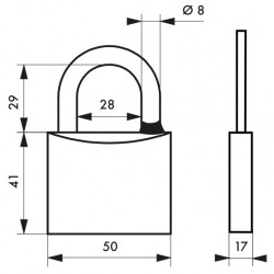Λουκέτο TYPE1 ορειχάλκινο νίκελ 50 χιλ. inox λαιμός - 2 κλειδιά THIRARD THIRARD - 1 2