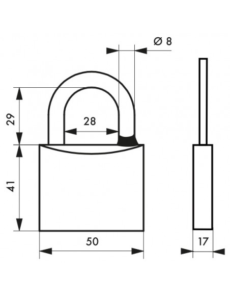 Λουκέτο TYPE1 ορειχάλκινο νίκελ 50 χιλ. inox λαιμός - 2 κλειδιά THIRARD THIRARD - 2