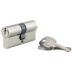 Κύλινδρος STD 30 x 30 νίκελ - 3 κλειδιά THIRARD THIRARD - 1
