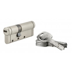 Κύλινδρος ασφαλείας TRAFIC 12 νίκελ - 30 x 50 - 5 κλειδιά THIRARD THIRARD - 1