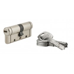 Κύλινδρος ασφαλείας TRAFIC 12 νίκελ - 35 x 35 - 5 κλειδιά THIRARD THIRARD - 1