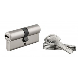 Κύλινδρος ασφαλείας TRAFIC 6 νίκελ - 35 x 35 - 5 κλειδιά THIRARD THIRARD - 1