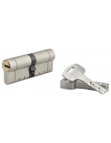 Κύλινδρος υπερασφαλείας FEDERAL S - 40 x 40 - 5 κλειδιά THIRARD THIRARD - 1