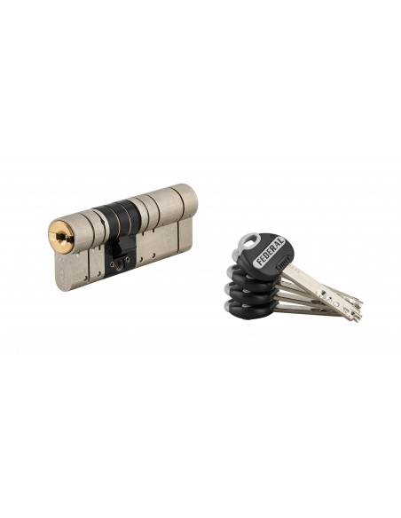 Κύλινδρος υπερασφαλείας FEDERAL 2 - 30 x 50 - 5 κλειδιά THIRARD THIRARD - 1